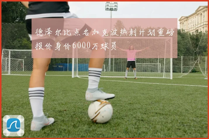 德泽尔比点名加克波热刺计划重磅报价身价6000万球员