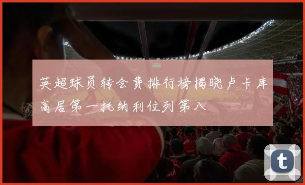 英超球员转会费排行榜揭晓卢卡库高居第一托纳利位列第八