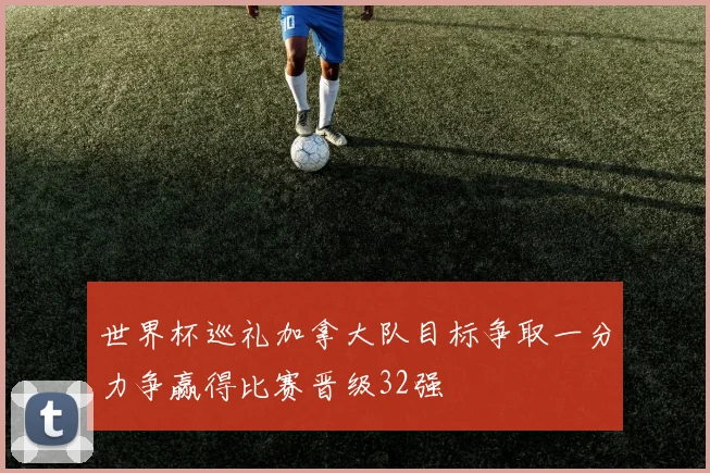 世界杯巡礼加拿大队目标争取一分力争赢得比赛晋级32强
